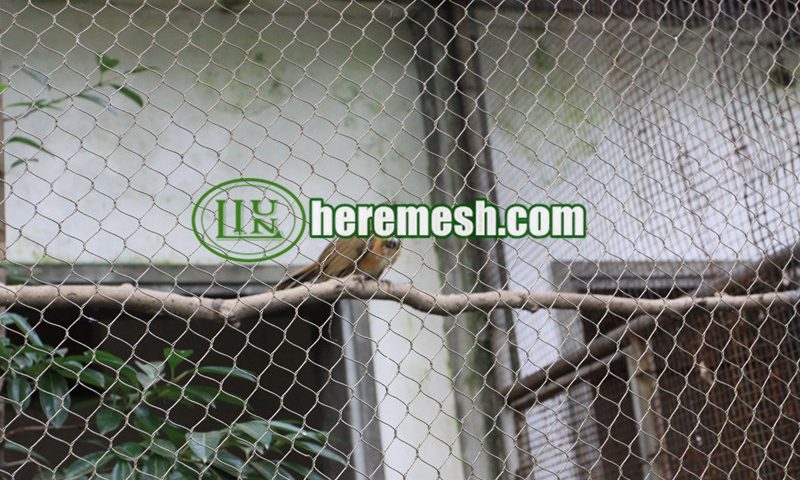 small bird aviary netting