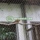 small bird aviary netting