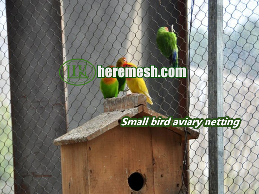 small bird aviary netting