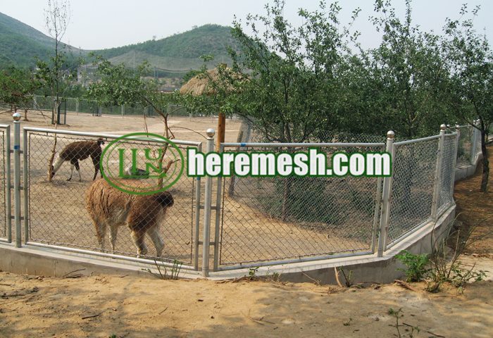 Deer Fence Metal Mesh