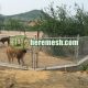 Deer Fence Metal Mesh