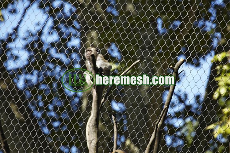 Monkey Enclosure Cage Mesh