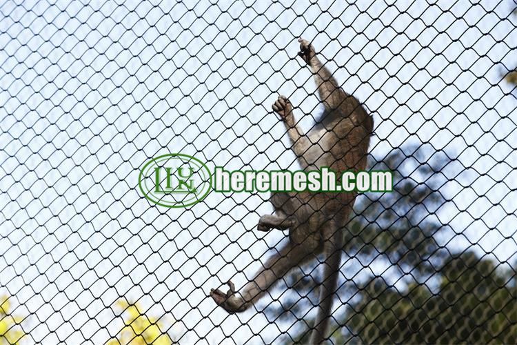 Monkey Enclosure Cage Mesh