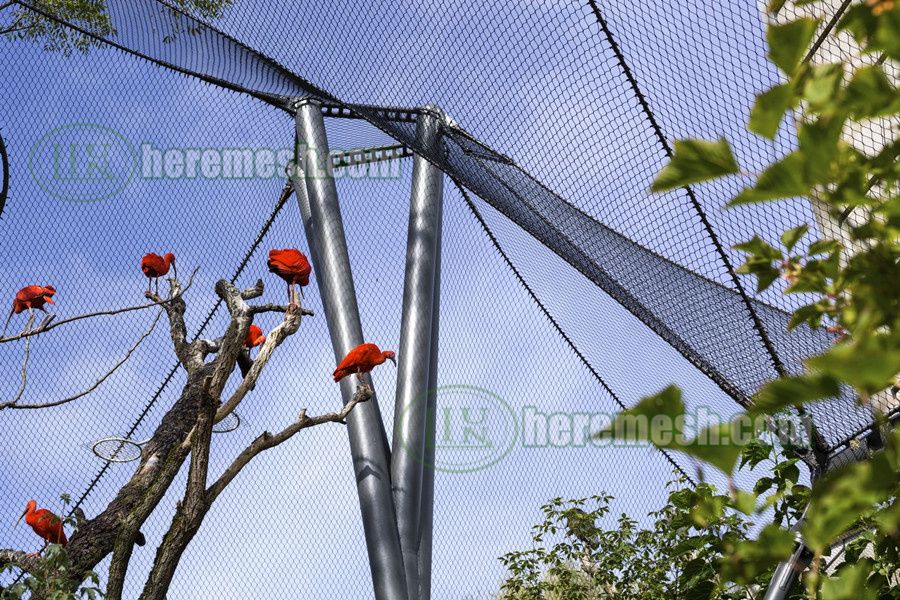 Black Oxide Stainless Steel Aviary Netting