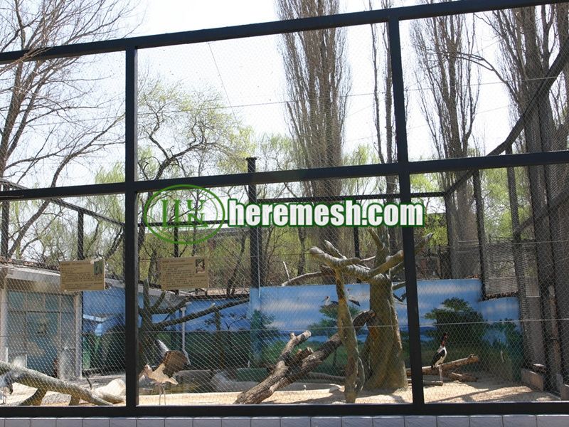 Crowned Crane Cage Fence Mesh