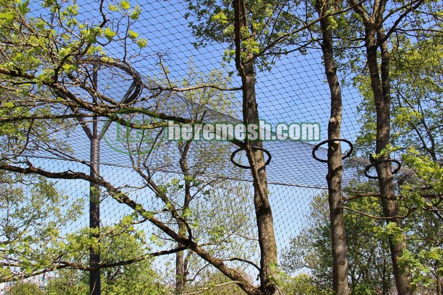 Wire Rope Mesh As Animal Safety Netting