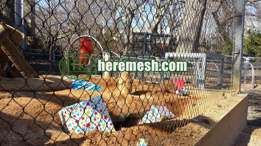 Meerkat Enclosure Mesh