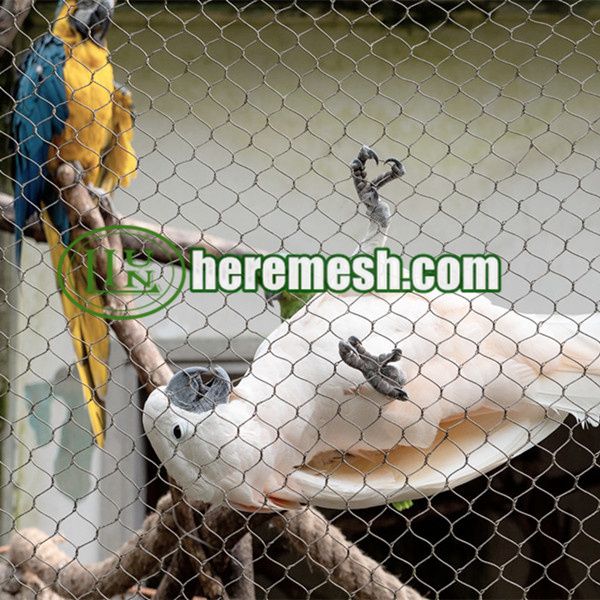 Zoo Enclosure Mesh Supplier 