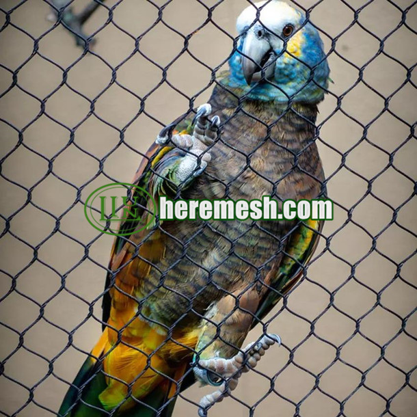 Aviary Netting For Parrots