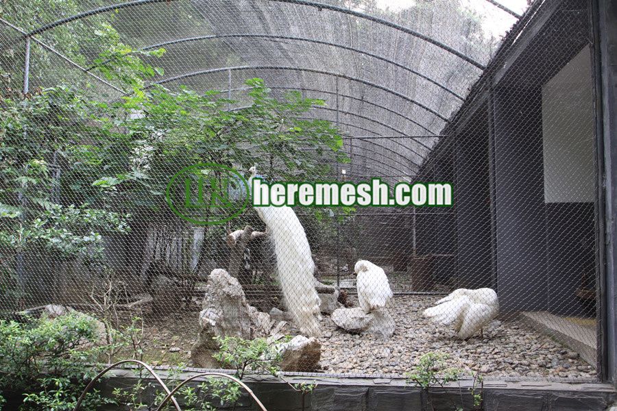 Peacock Enclosure Mesh For Sale