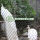 Peacock Enclosure Mesh For Sale