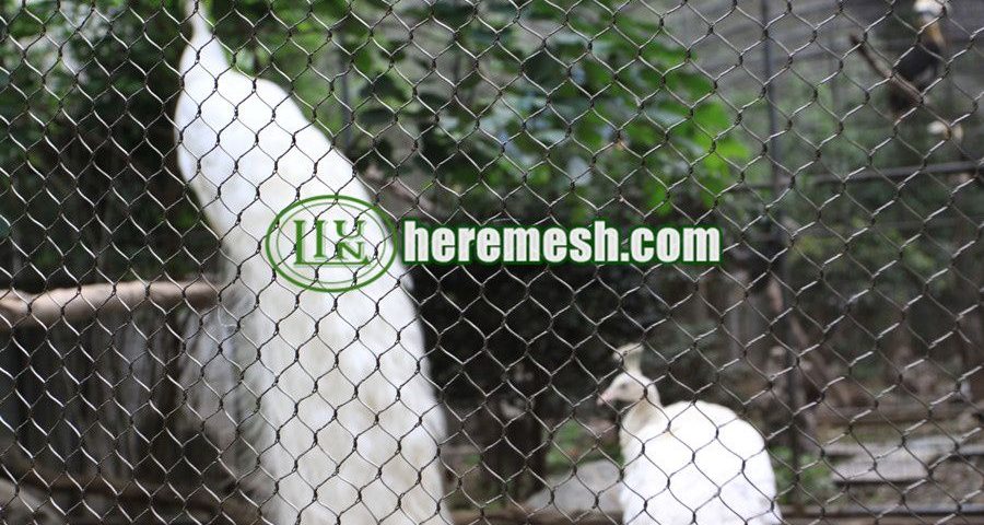 Peacock Enclosure Mesh For Sale