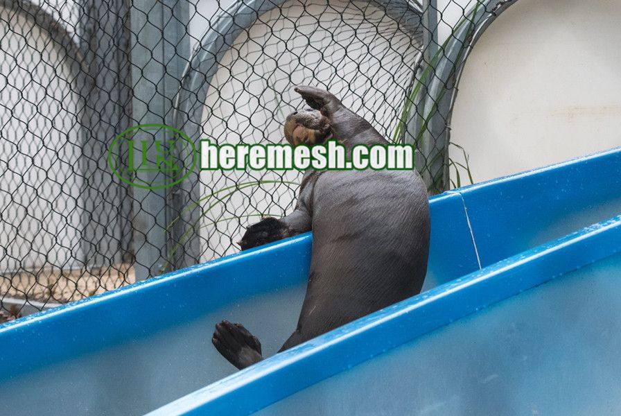 Sea Lion Enclosure Mesh