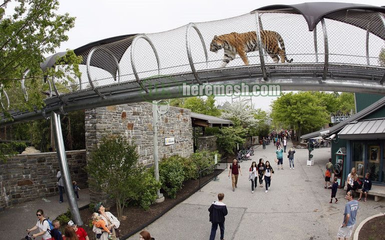 Open Animal Enclosure