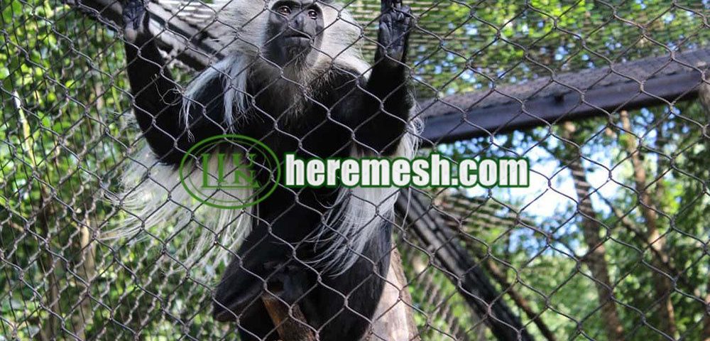 The most competitive price zoo mesh