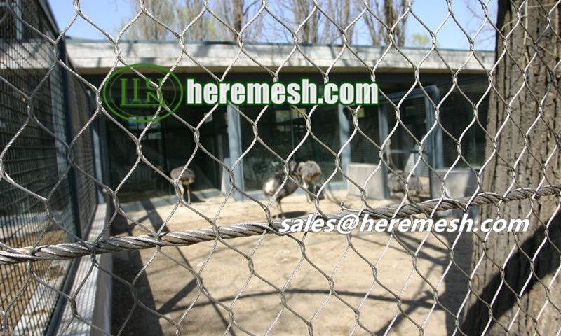 Wire Mesh Suitable For Bird Aviary