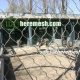 Wire Mesh Suitable For Bird Aviary