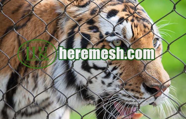 stainless steel zoo tiger enclosure mesh