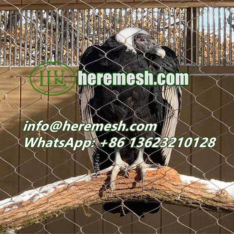 Wire Mesh For Birds