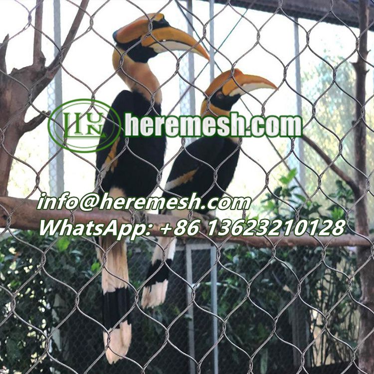 Wire Mesh For Birds