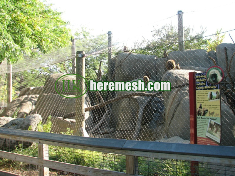 Monkey Enclosure Wire Mesh