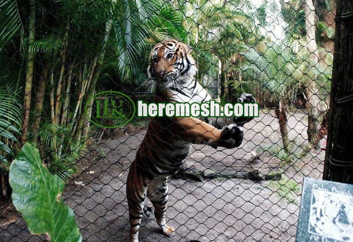 Good Quality Tiger Fence Mesh
