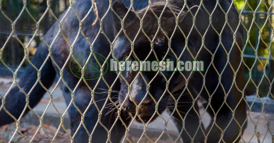 Panther Enclosure Mesh