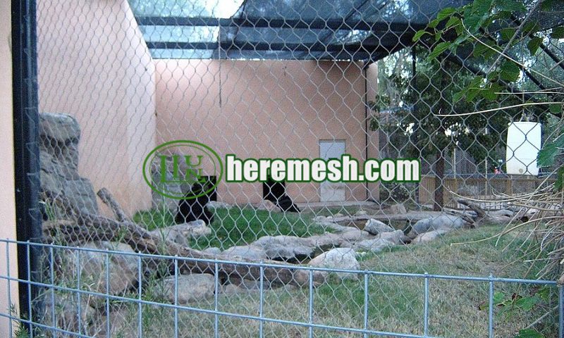 stainless steel black bear cage mesh