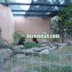 stainless steel black bear cage mesh