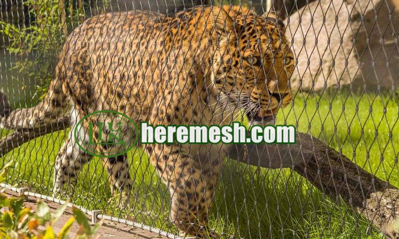 stainless steel zoo tiger enclosure mesh