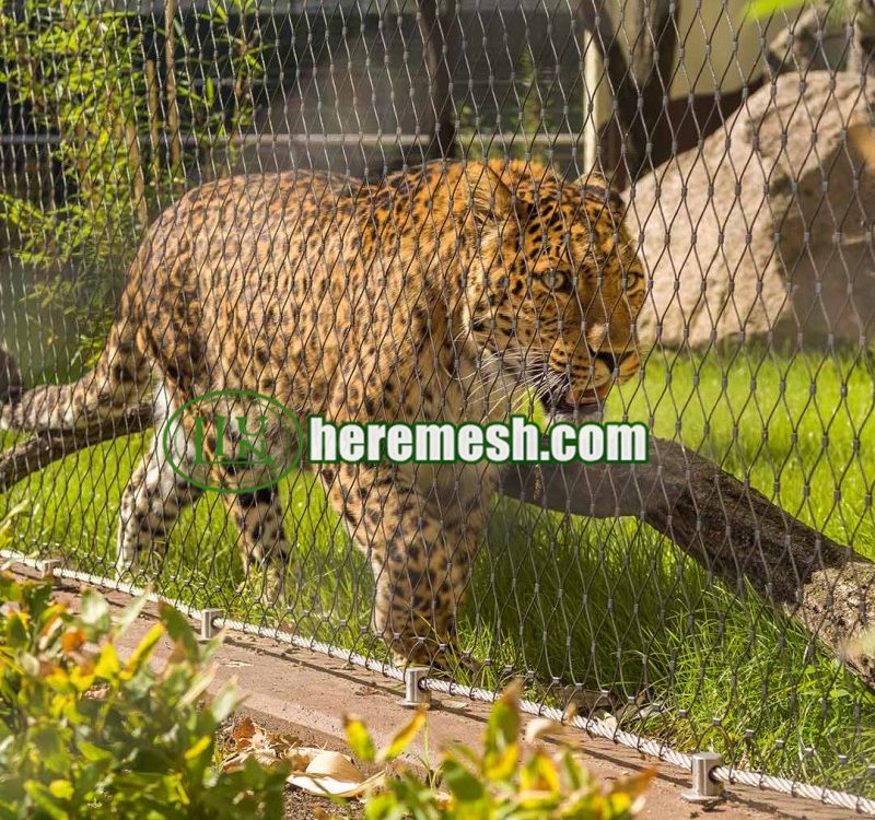stainless steel zoo tiger enclosure mesh