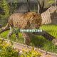 stainless steel zoo tiger enclosure mesh