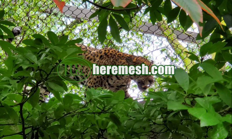 stainless steel animal fence netting