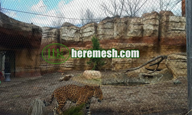 zoo fence mesh