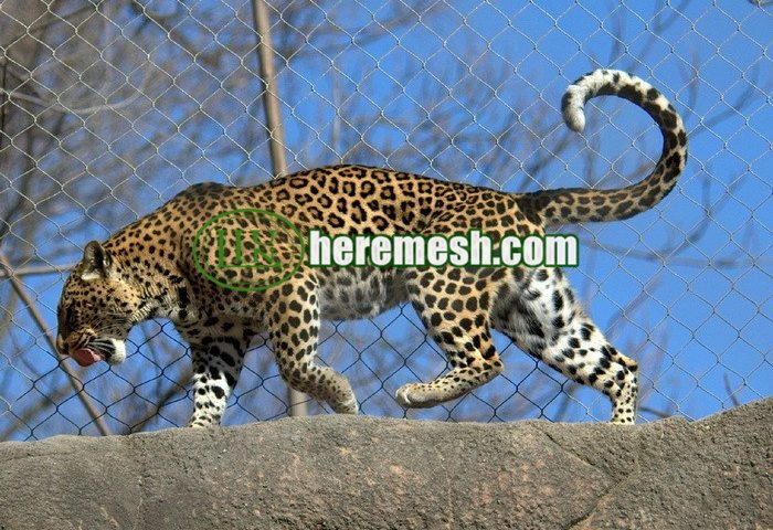 stainless steel zoo tiger enclosure mesh