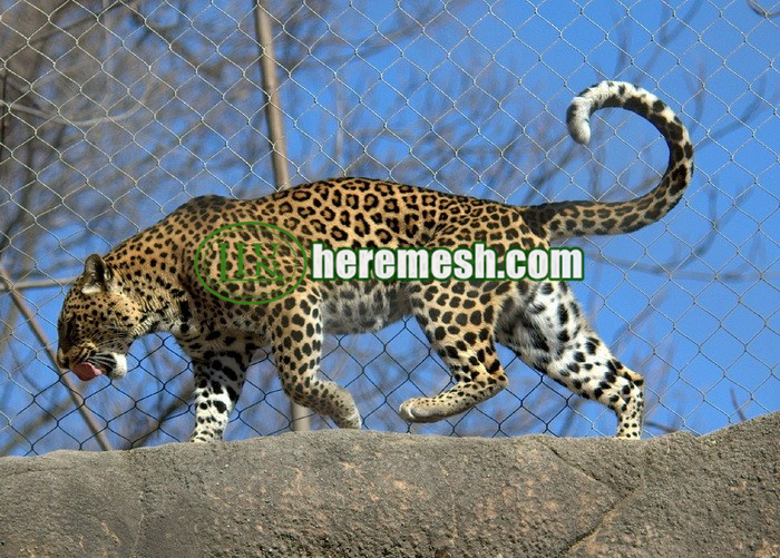 Leopard fence mesh - Stainless Steel Cable Mesh Supplier - LIULIN
