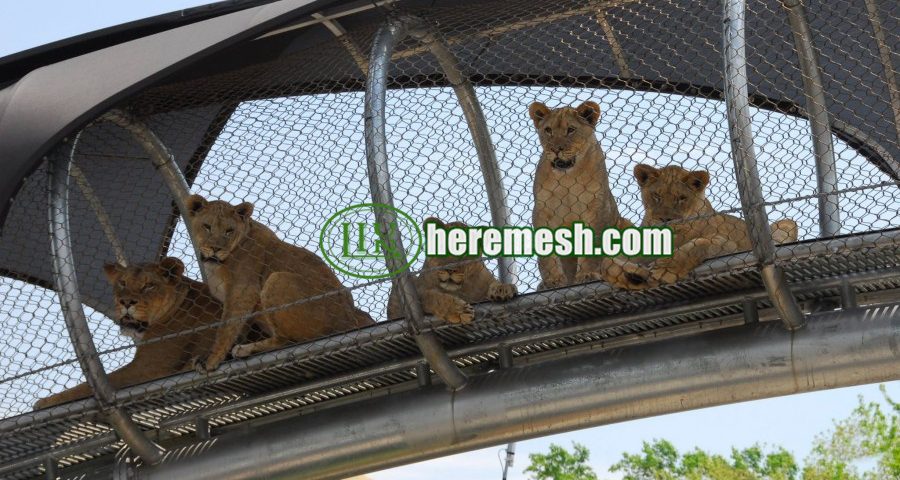 Hot Sale Zoo Wire Mesh