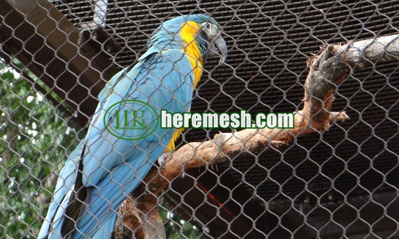 Stainless Steel Macaw Exhibition Netting