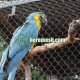 Stainless Steel Macaw Exhibition Netting