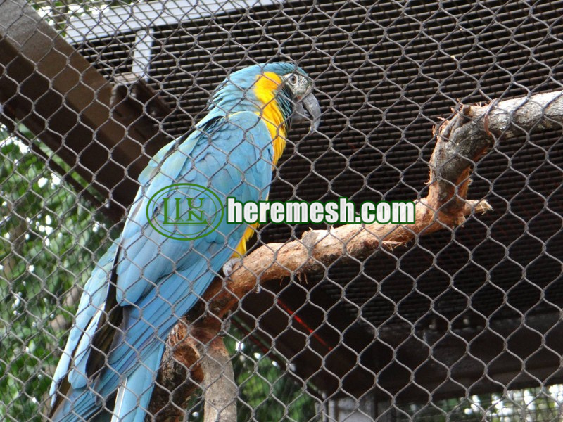 Stainless Steel Macaw Exhibition Netting