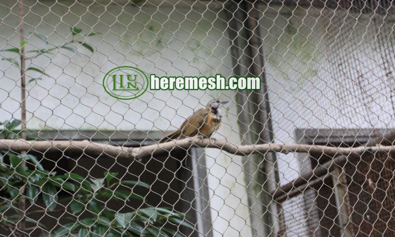 Cross Cable Wire Mesh For Zoo Aviary Net