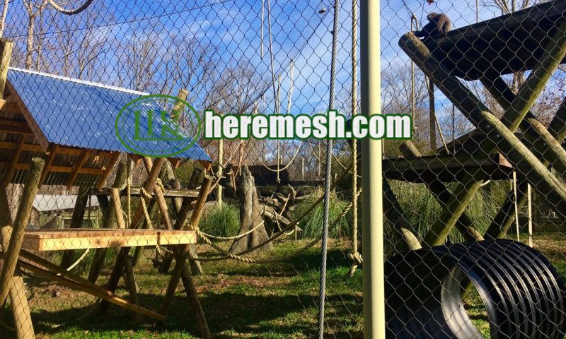 stainless steel zoo protection net