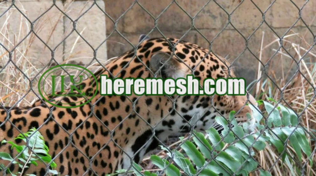 stainless steel leopard fence enclosure mesh