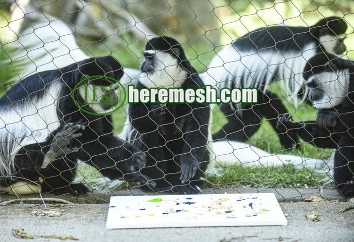 stainless steel monkey enclosure mesh