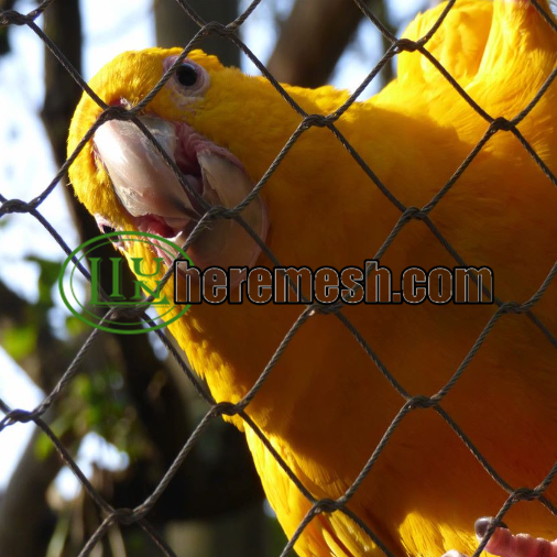 stainless steel Macaw aviary mesh