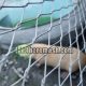 Eco-friendly animal enclosure mesh