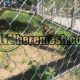 Stainless steel cable net aviary net