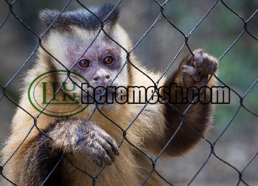 stainless steel monkey enclosure mesh