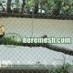 Application of Sustainable Stainless Steel Wire Rope Net in Innovative Zoo