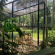 eagle enclosure mesh